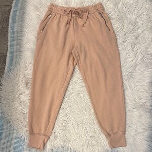 Womens aerie Jogger Pants
